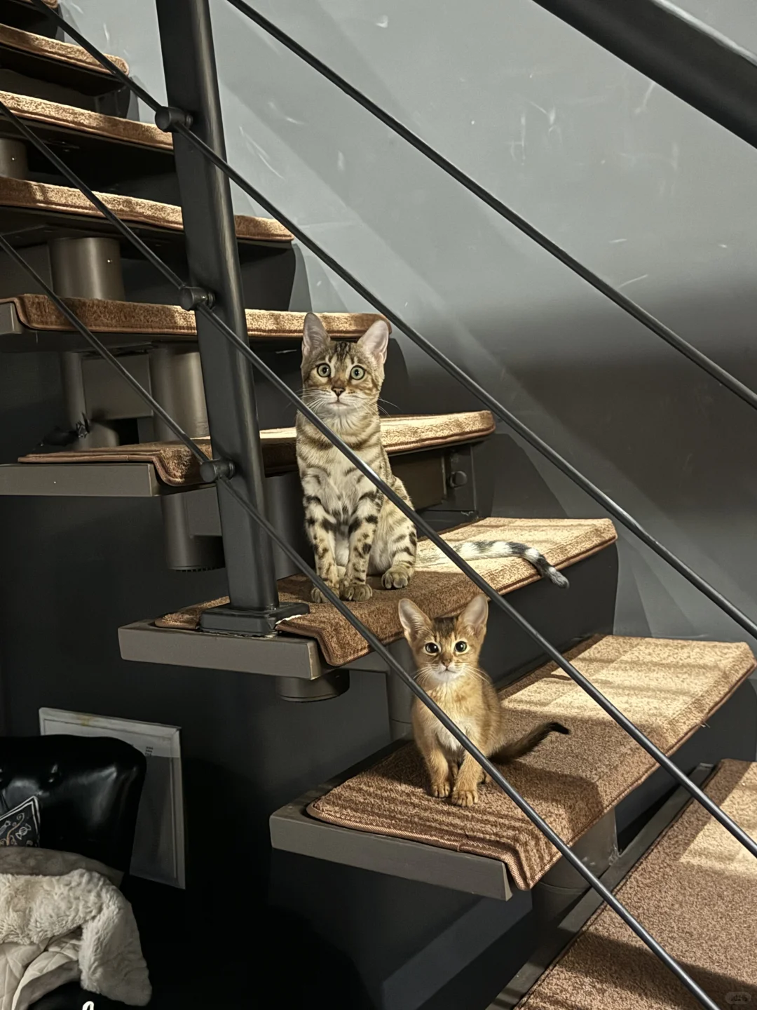 石家庄吉至刺青