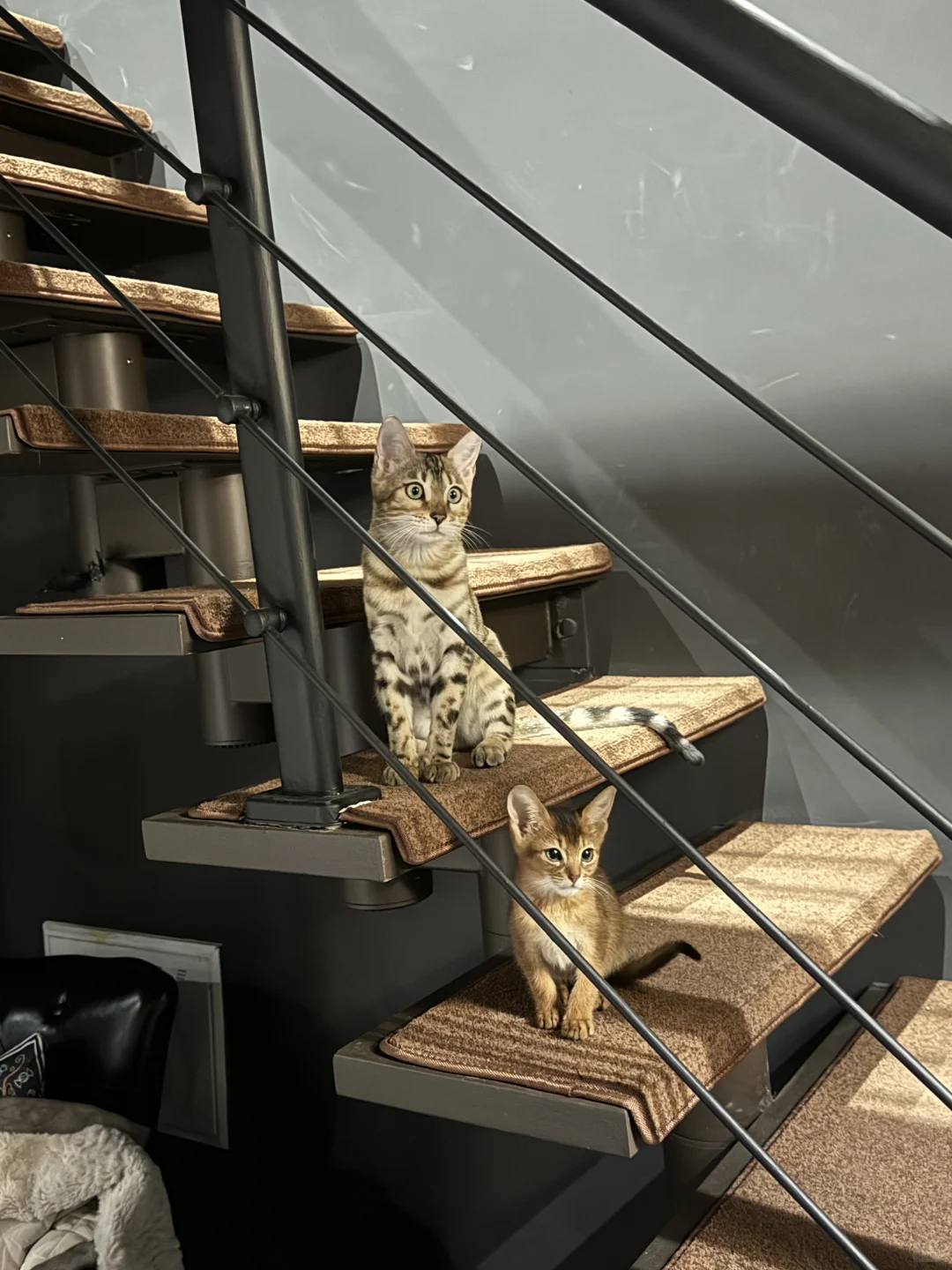 石家庄吉至刺青