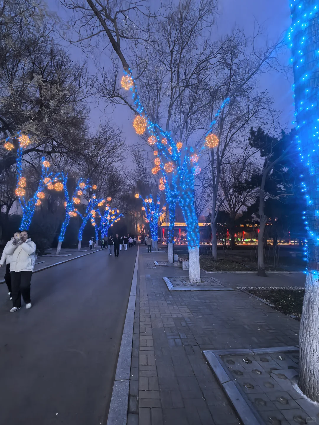 邯郸丛台公园夜景