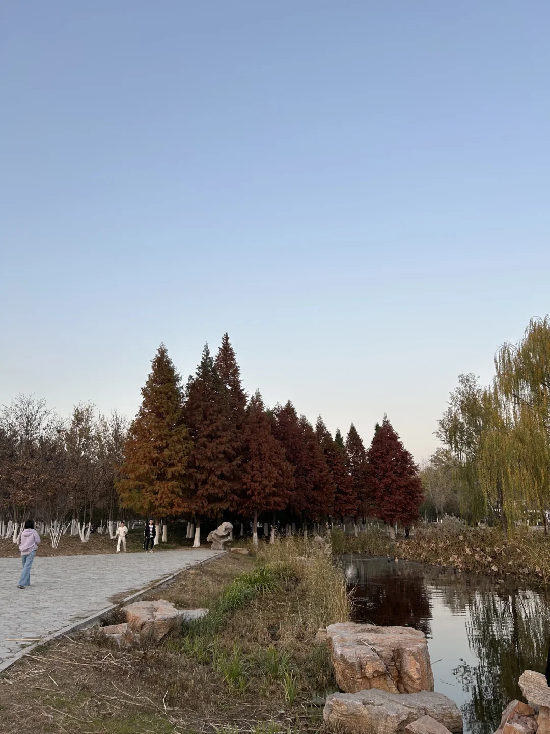 今天的天，真的很好看📸