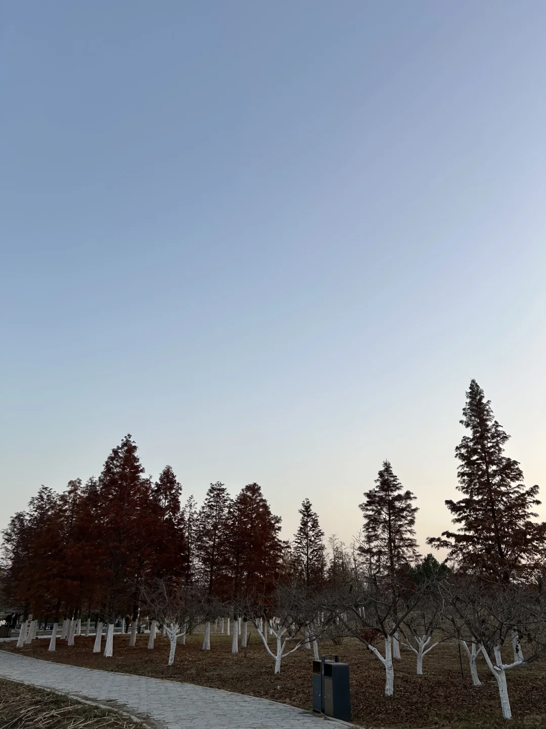 今天的天，真的很好看📸