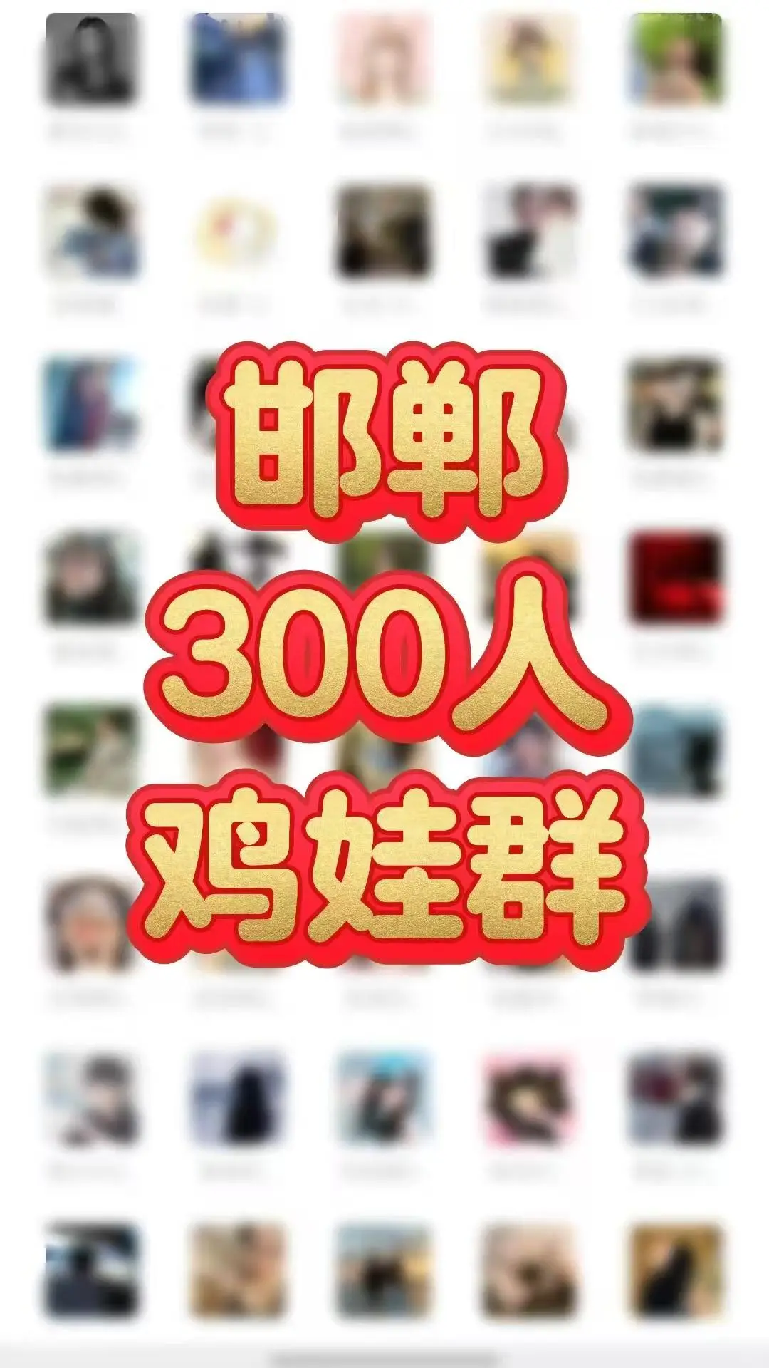 当你进了邯郸几个鸡娃群之后 你会发现