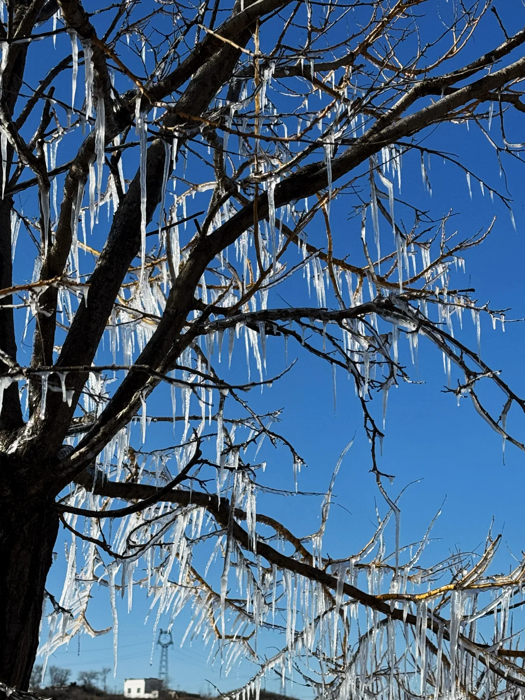 邢台出发1.5h｜感受太行腹地的乡野风貌