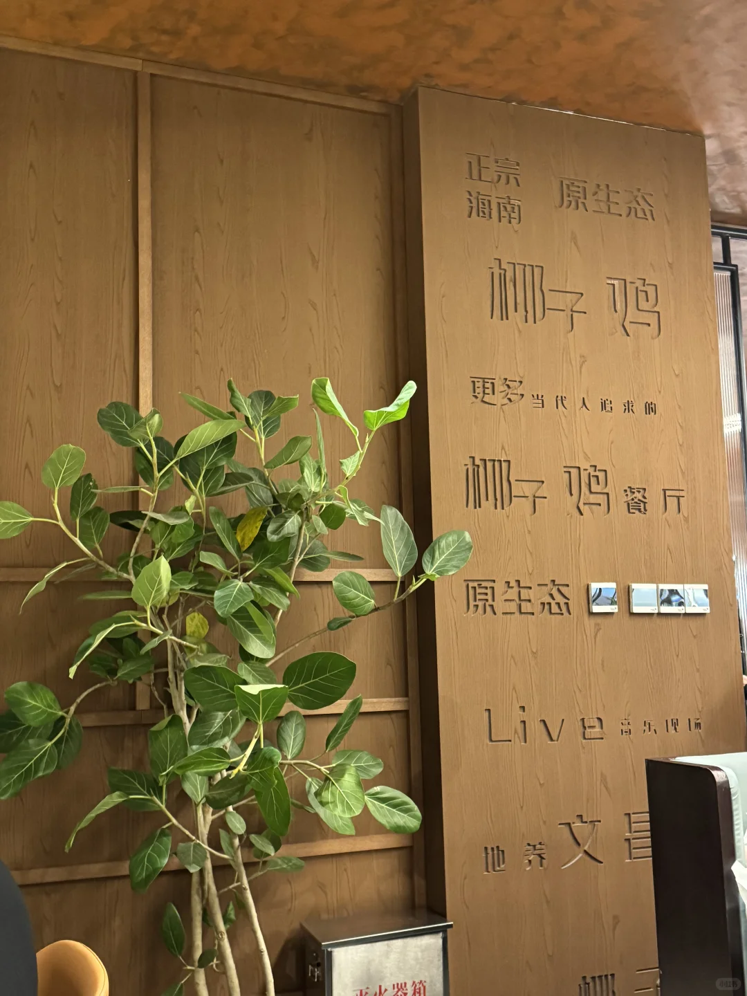 不用去海南也能在邢台吃上正宗椰子鸡火锅了