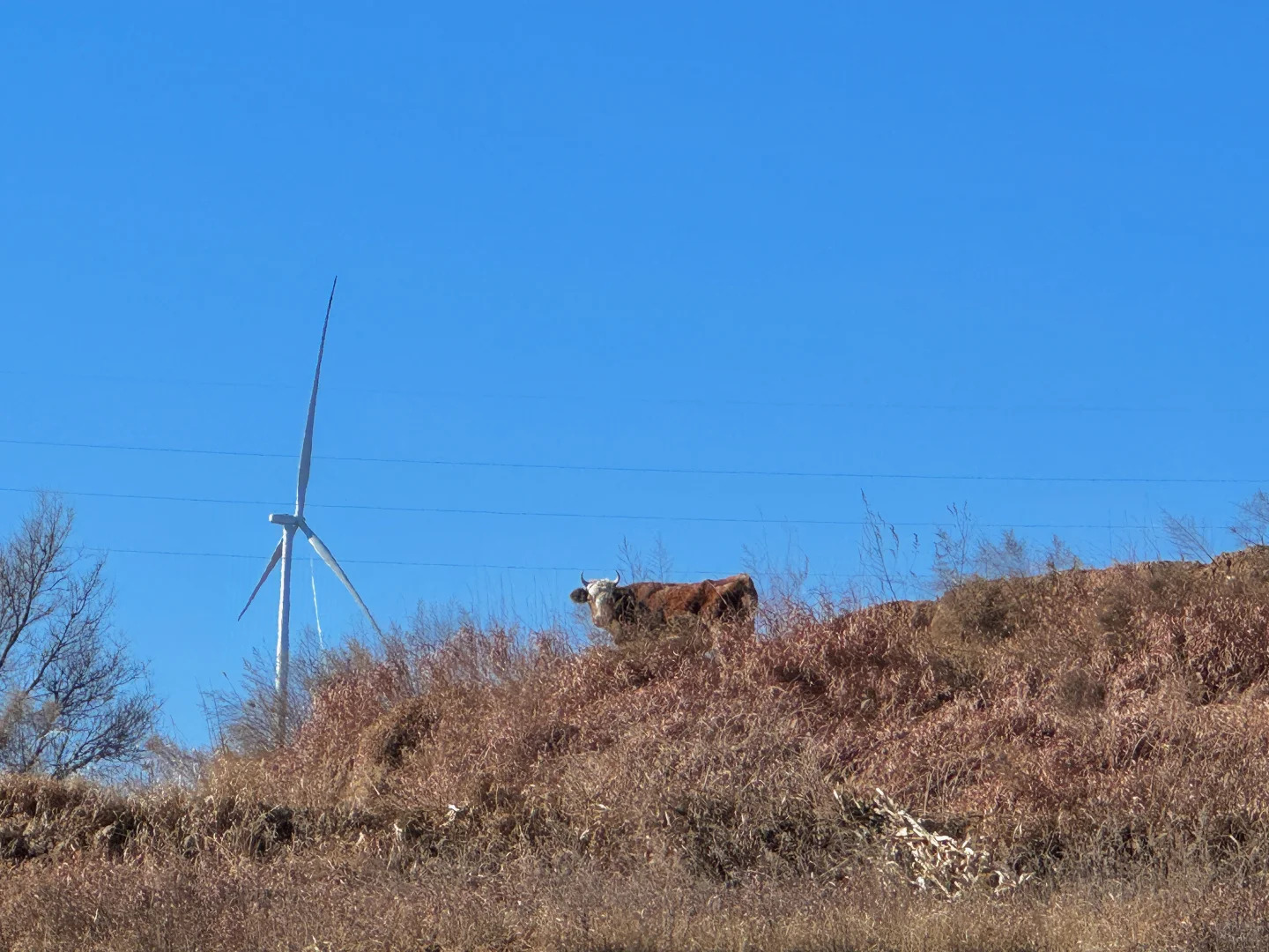 邢台出发1.5h｜感受太行腹地的乡野风貌