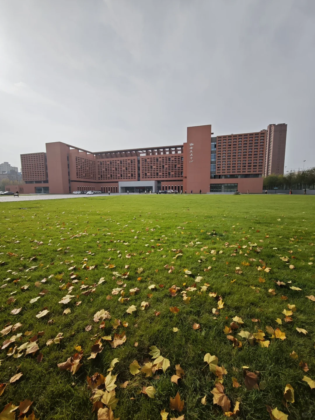 邢台真有泉眼呐！