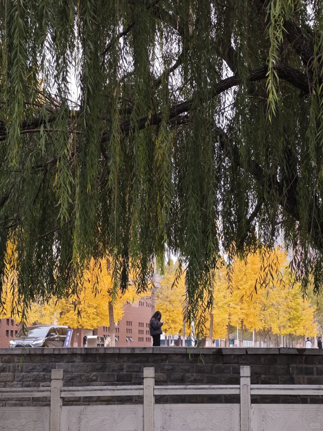 邢台真有泉眼呐！