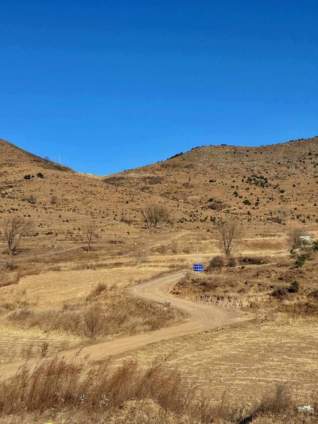 邢台出发1.5h｜感受太行腹地的乡野风貌