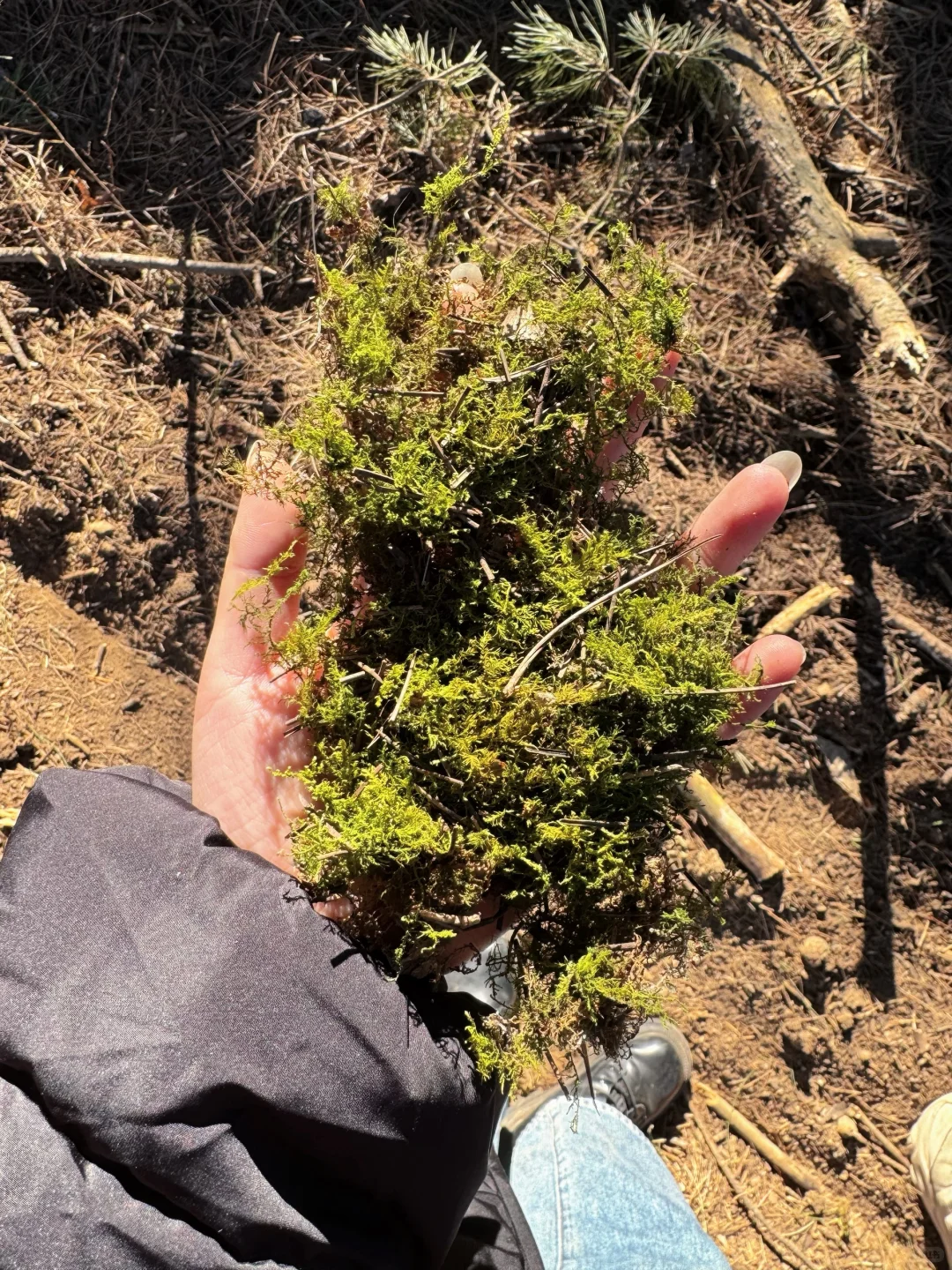 邢台出发1.5h｜感受太行腹地的乡野风貌