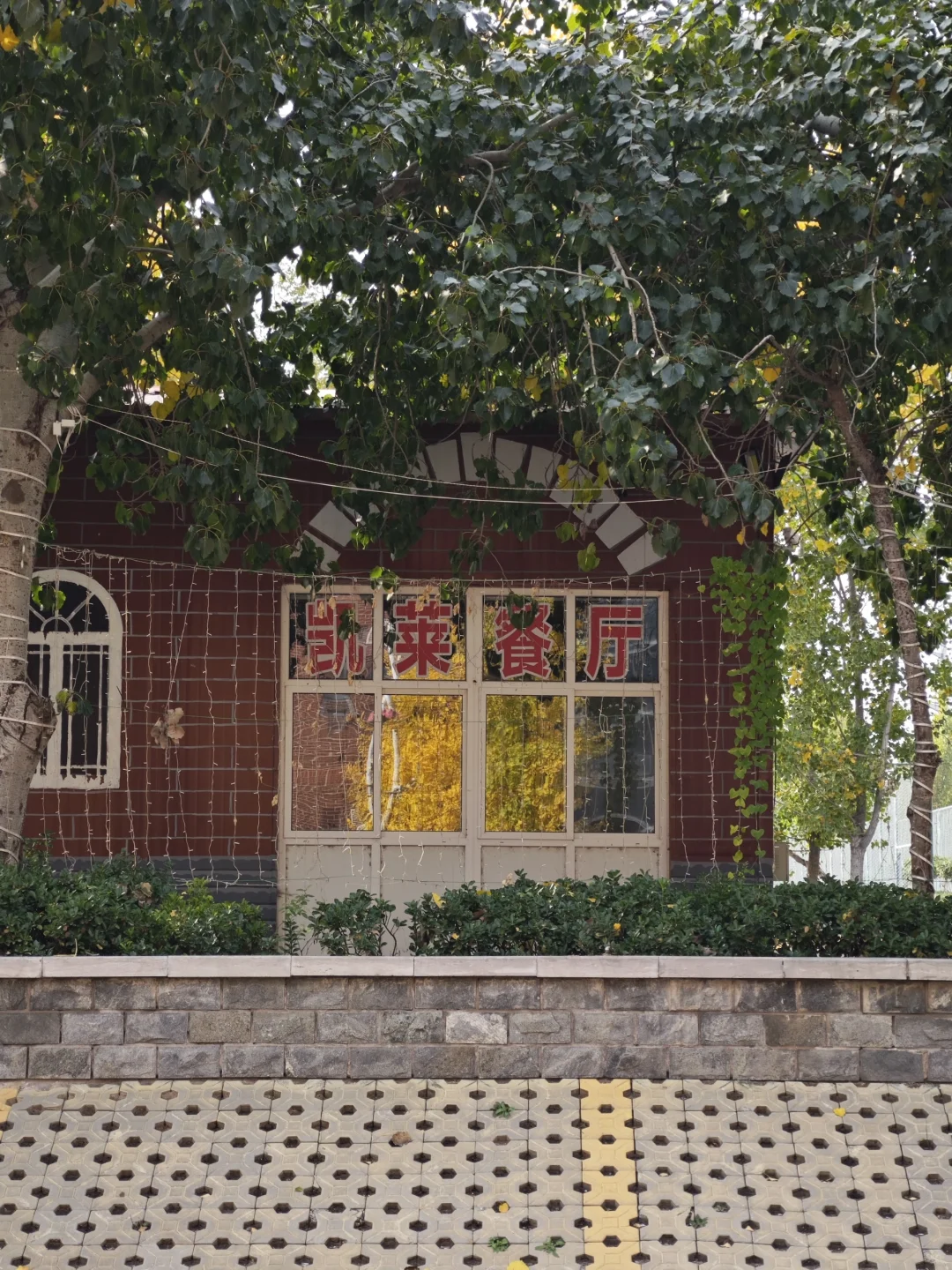 邢台真有泉眼呐！