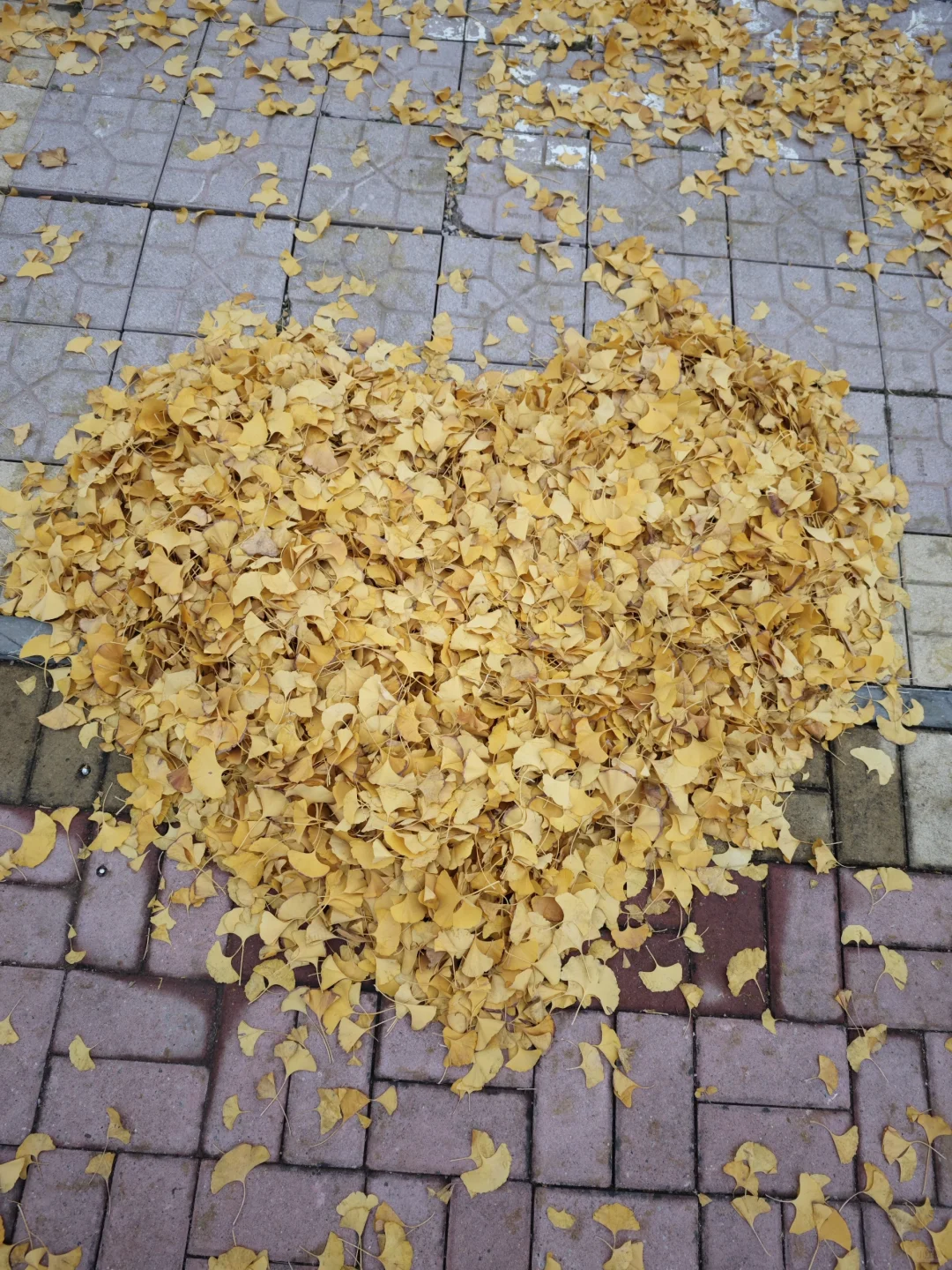 邢台真有泉眼呐！