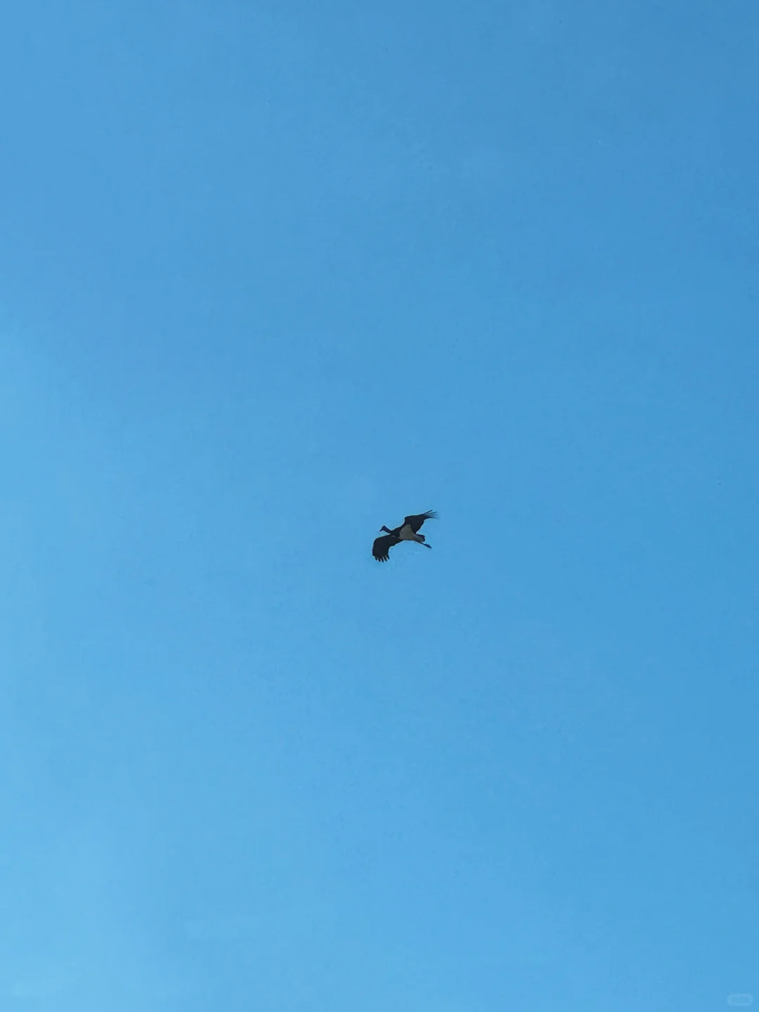 邢台出发1.5h｜感受太行腹地的乡野风貌