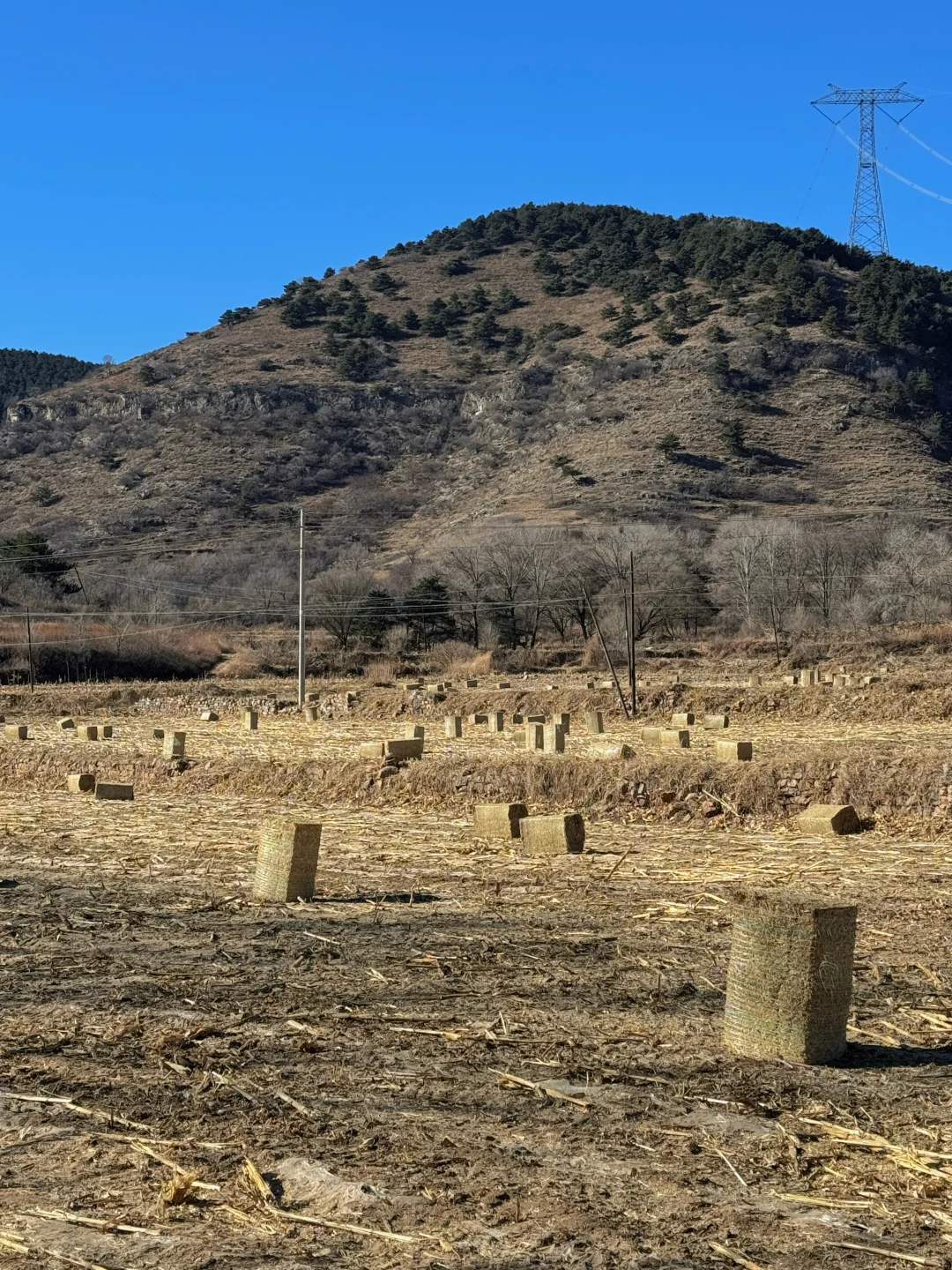 邢台出发1.5h｜感受太行腹地的乡野风貌