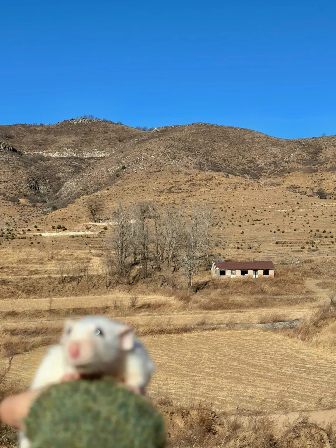 邢台出发1.5h｜感受太行腹地的乡野风貌