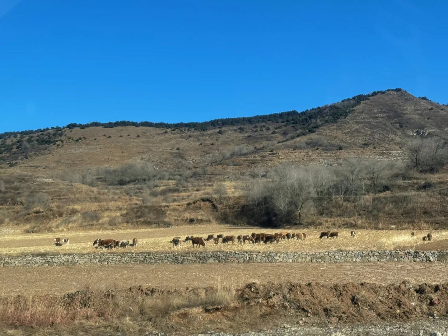 邢台出发1.5h｜感受太行腹地的乡野风貌
