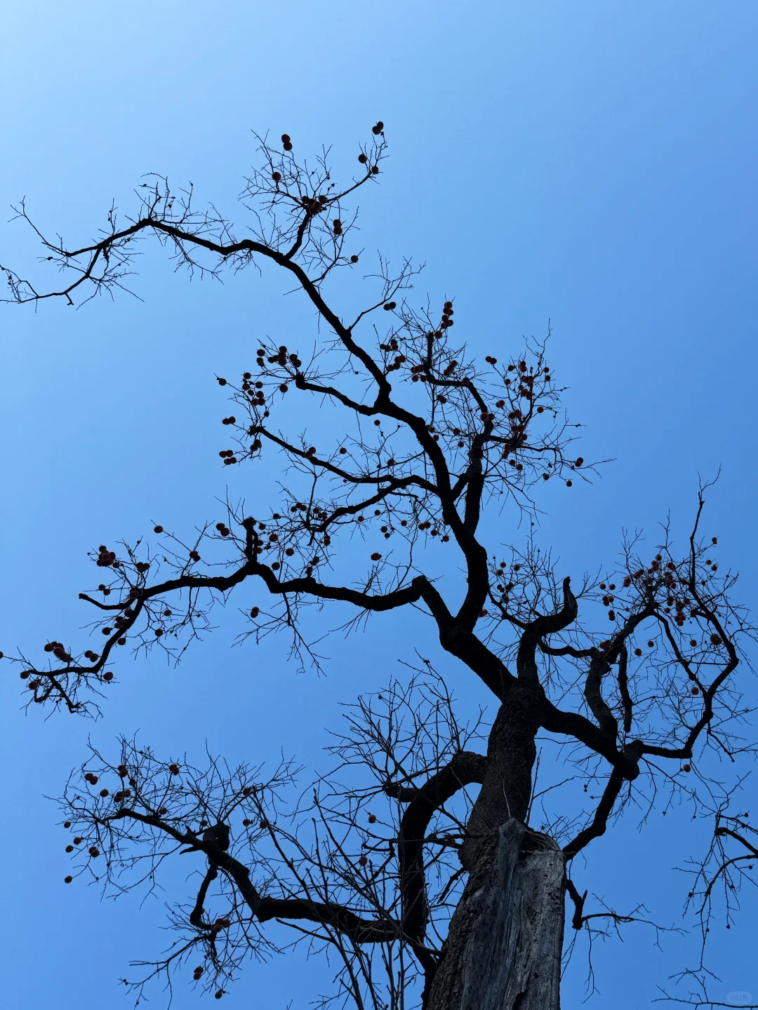 邢台出发1.5h｜感受太行腹地的乡野风貌