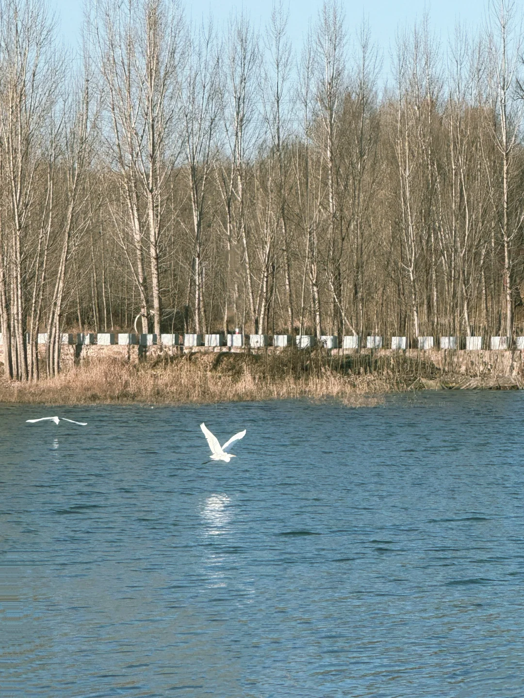 邢台出发1.5h｜感受太行腹地的乡野风貌