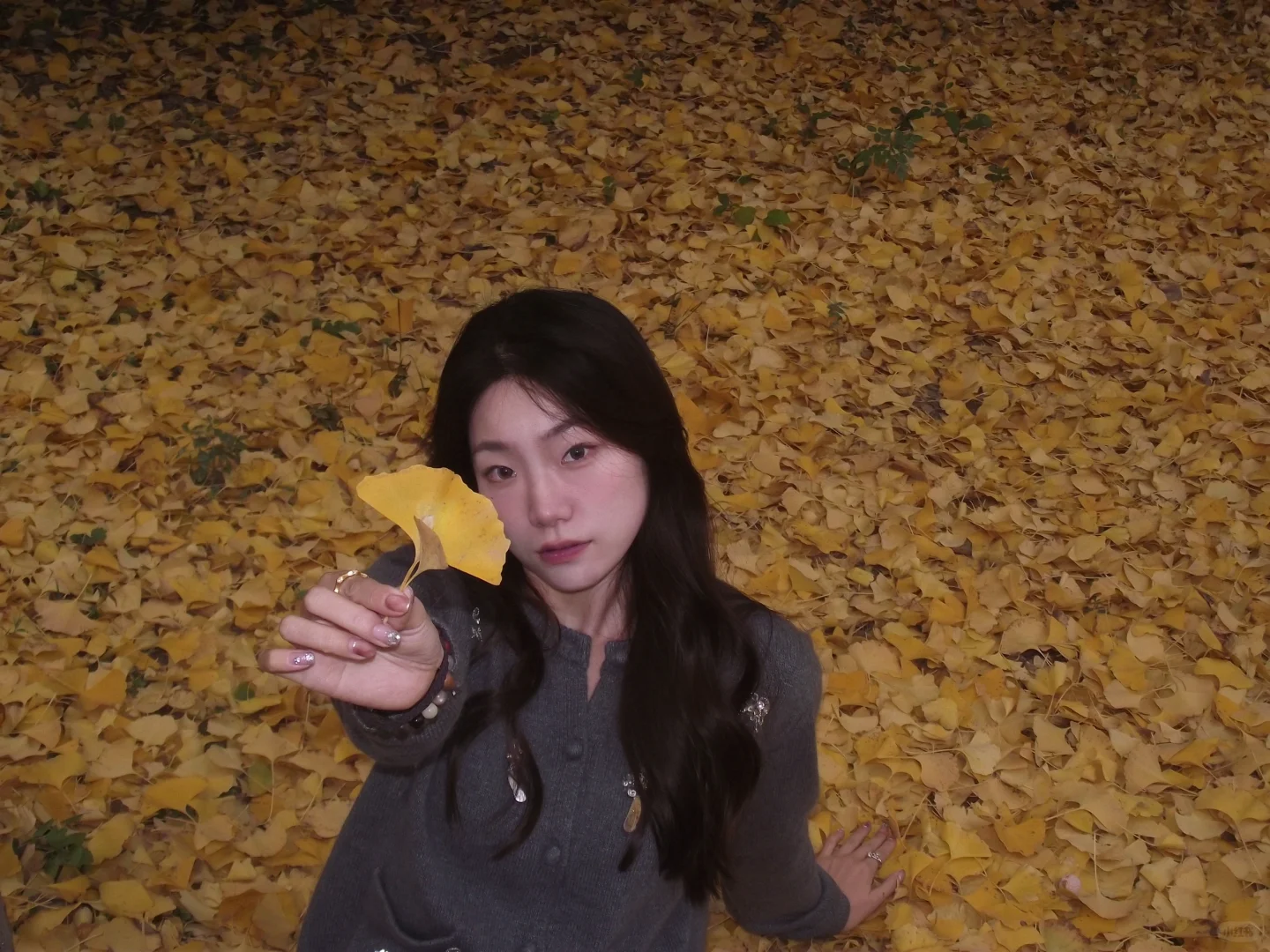 邢台|邢台人的公园记忆