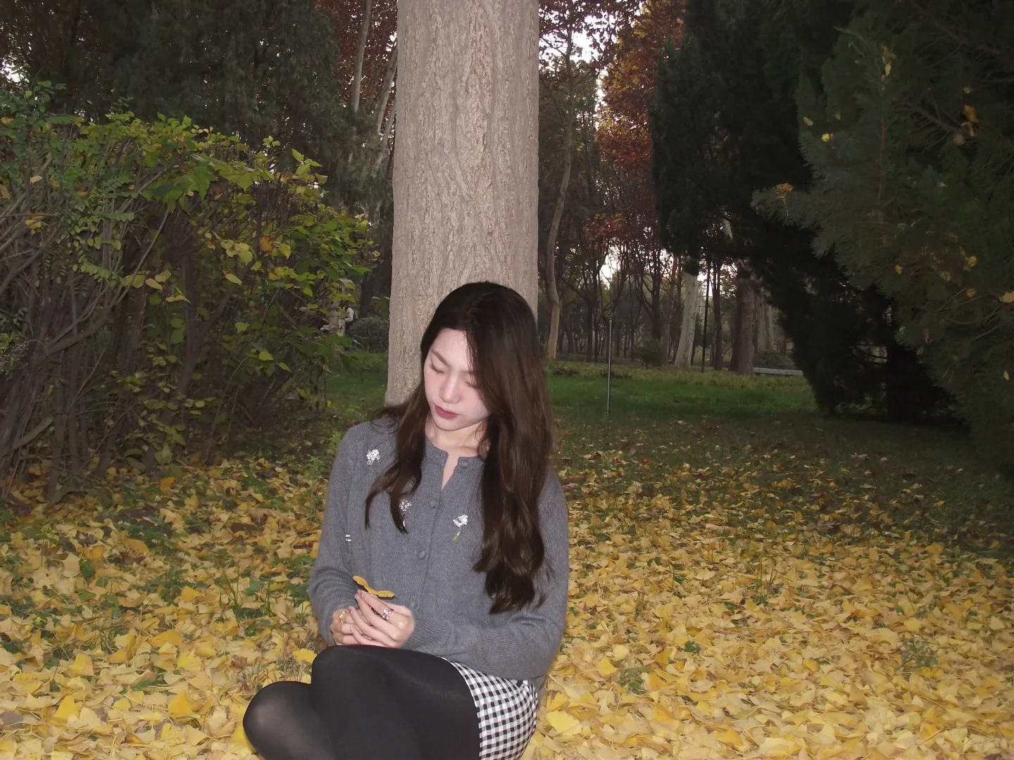 邢台|邢台人的公园记忆