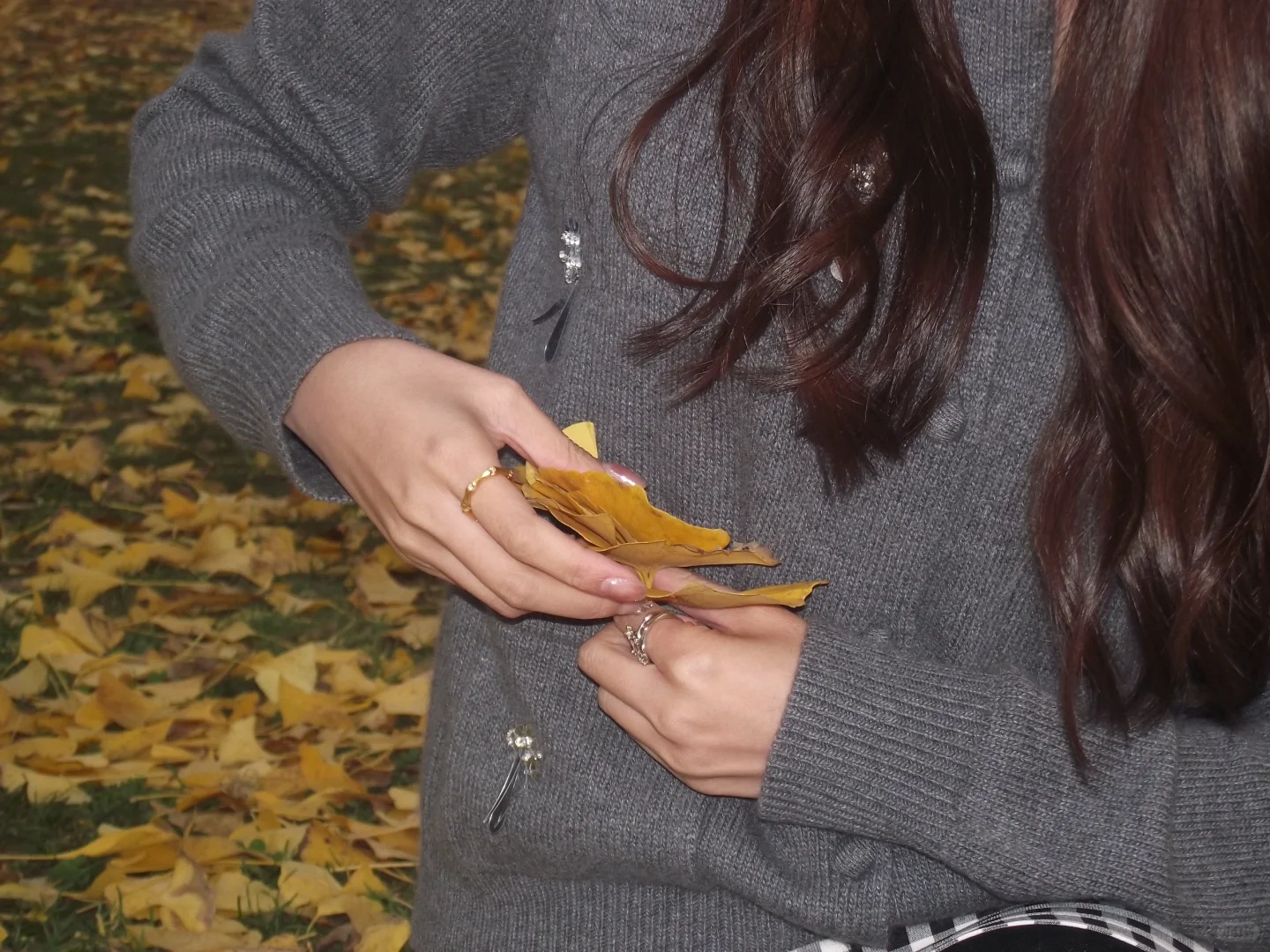 邢台|邢台人的公园记忆