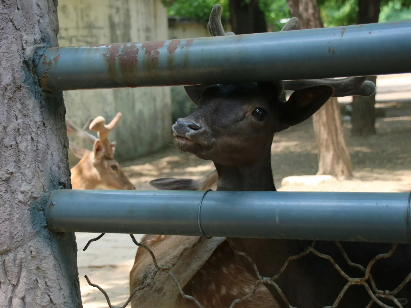 04女大周末特种兵旅行之📍邢台