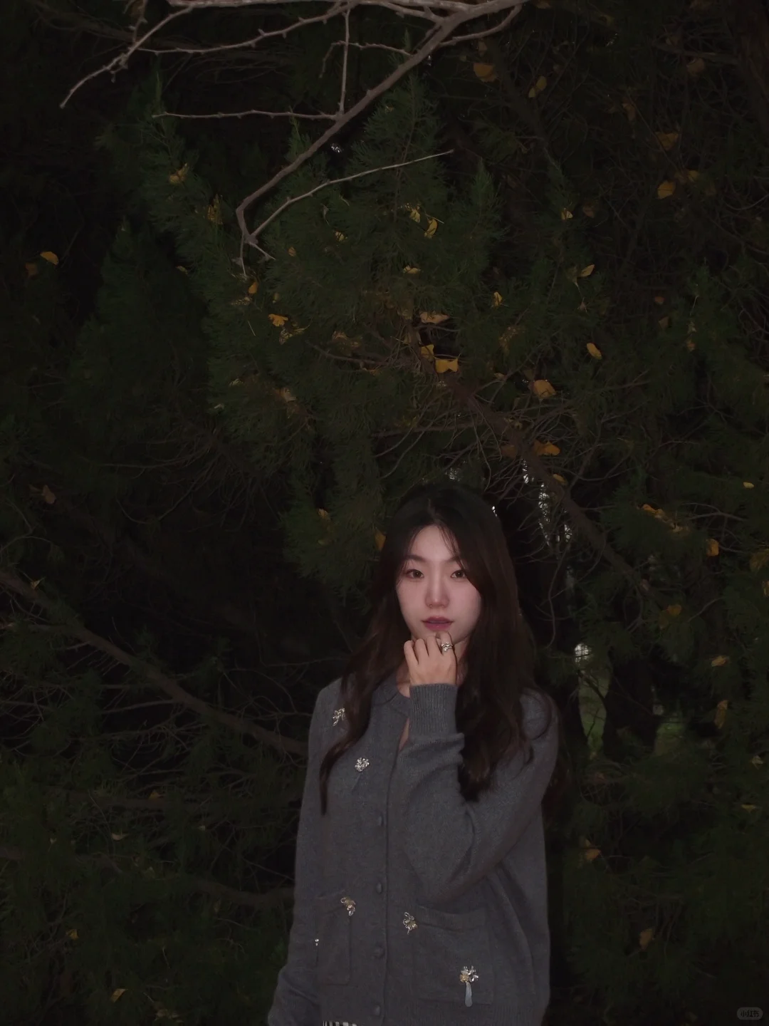 邢台|邢台人的公园记忆