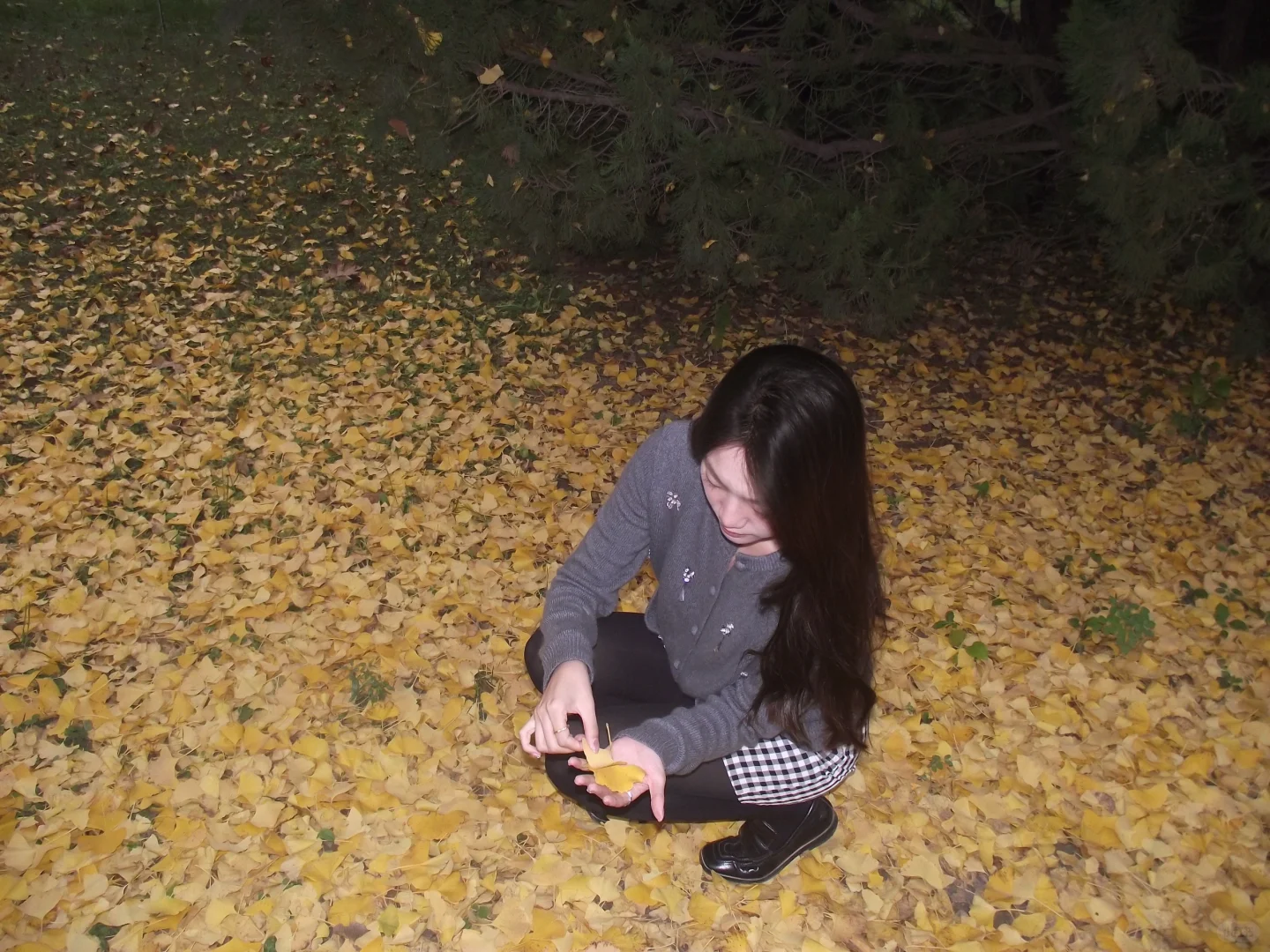 邢台|邢台人的公园记忆