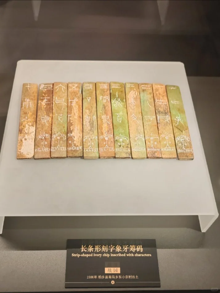 04女大周末特种兵旅行之📍邢台