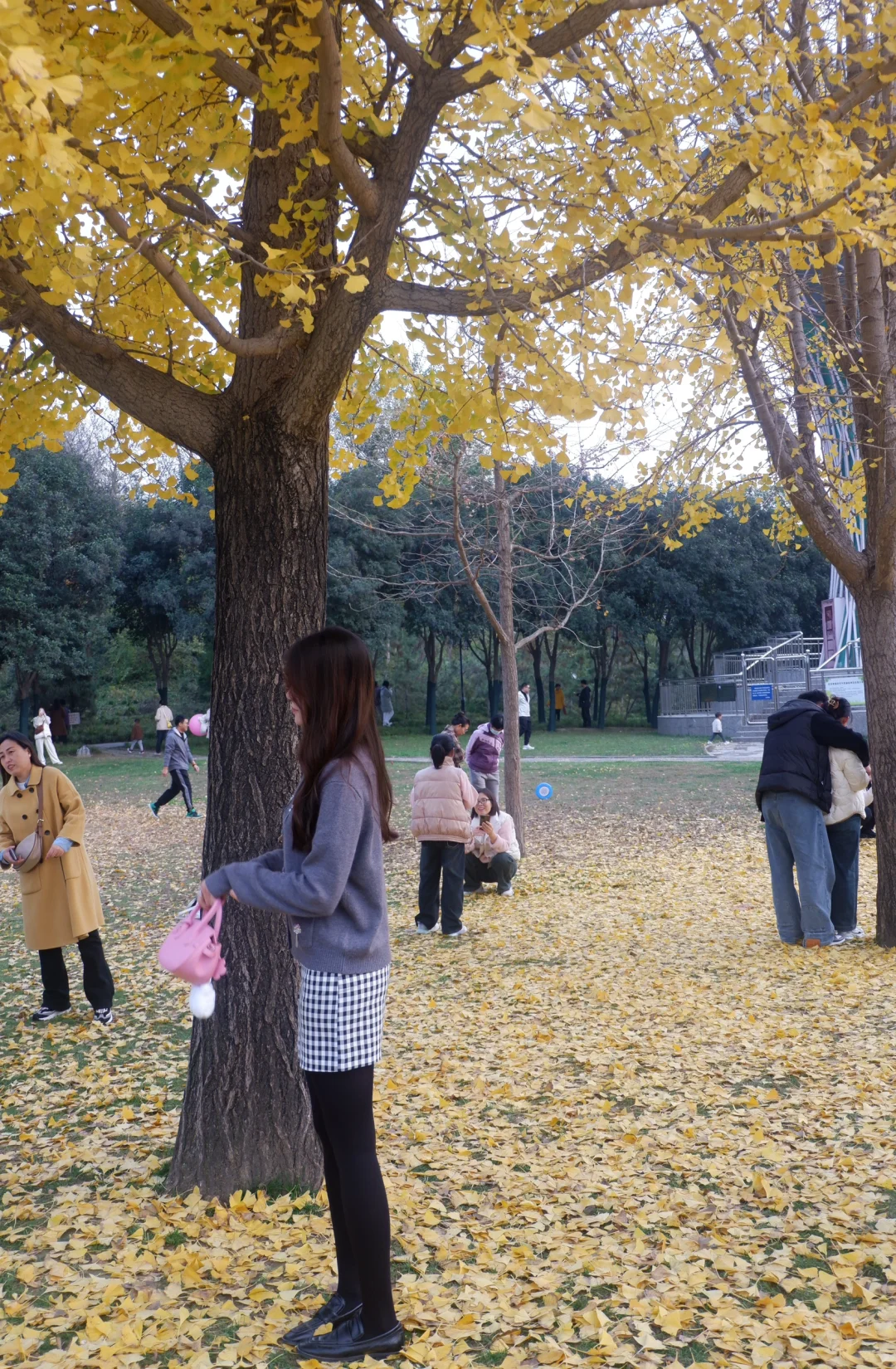 邢台|邢台人的公园记忆