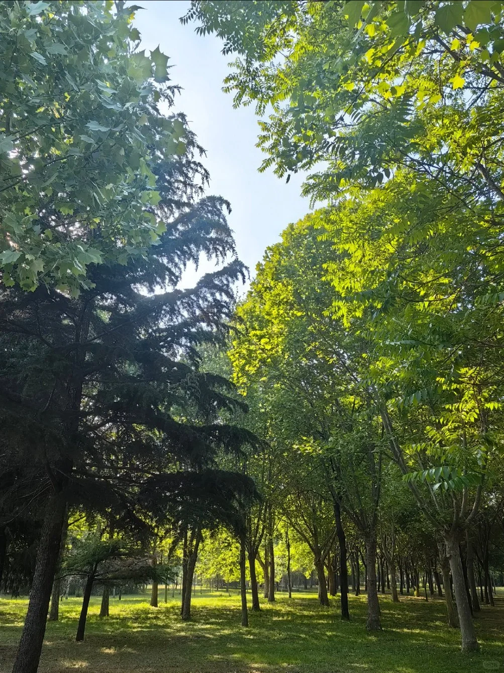 04女大周末特种兵旅行之📍邢台