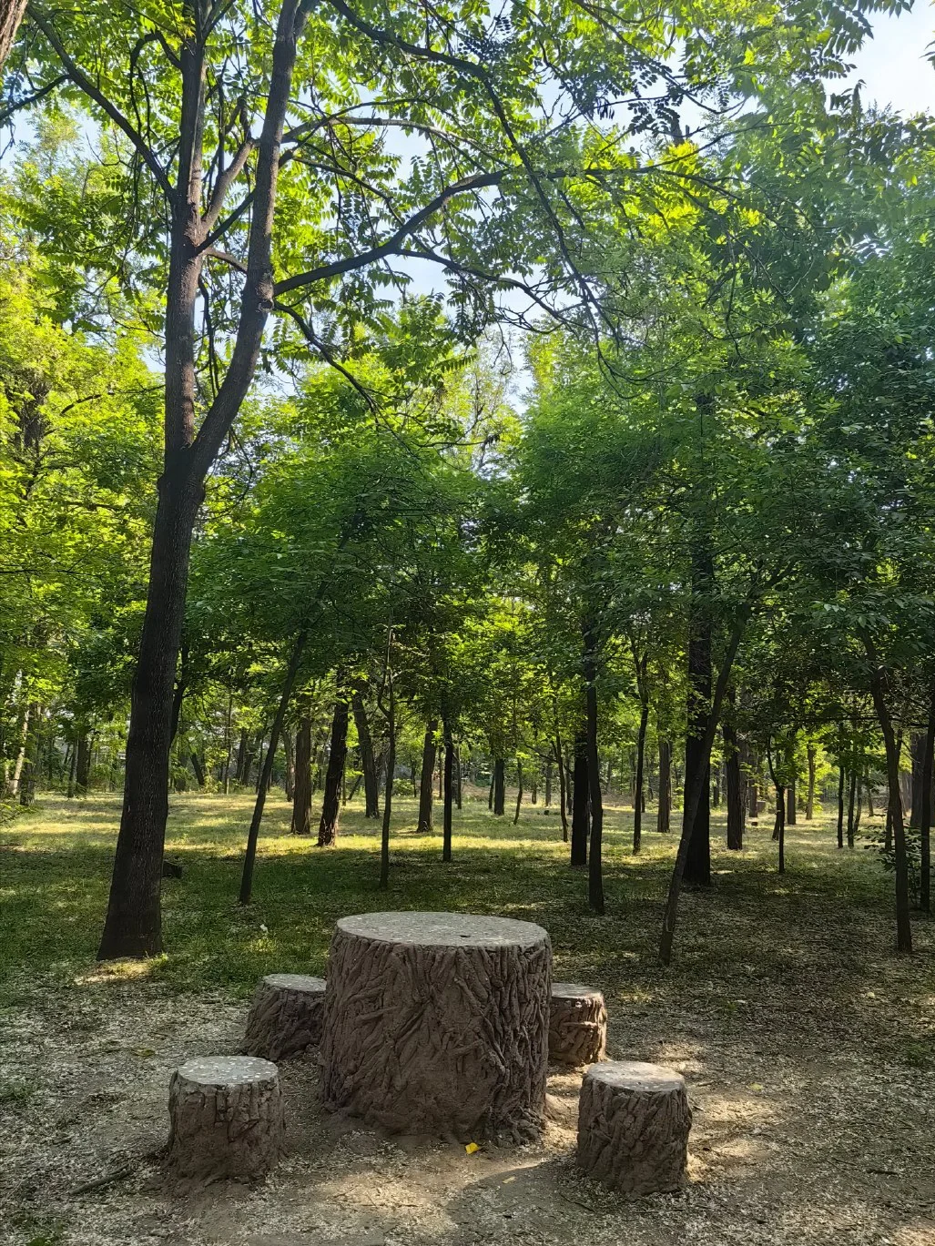 04女大周末特种兵旅行之📍邢台
