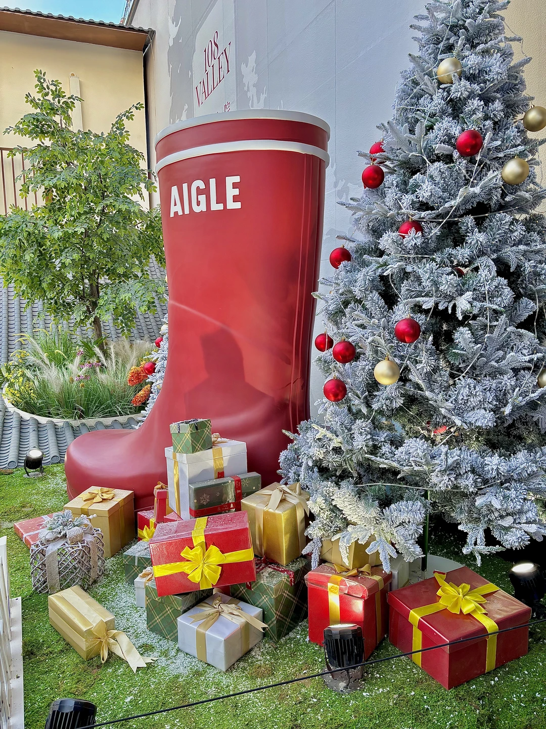 石家庄你洋气的我不敢认！