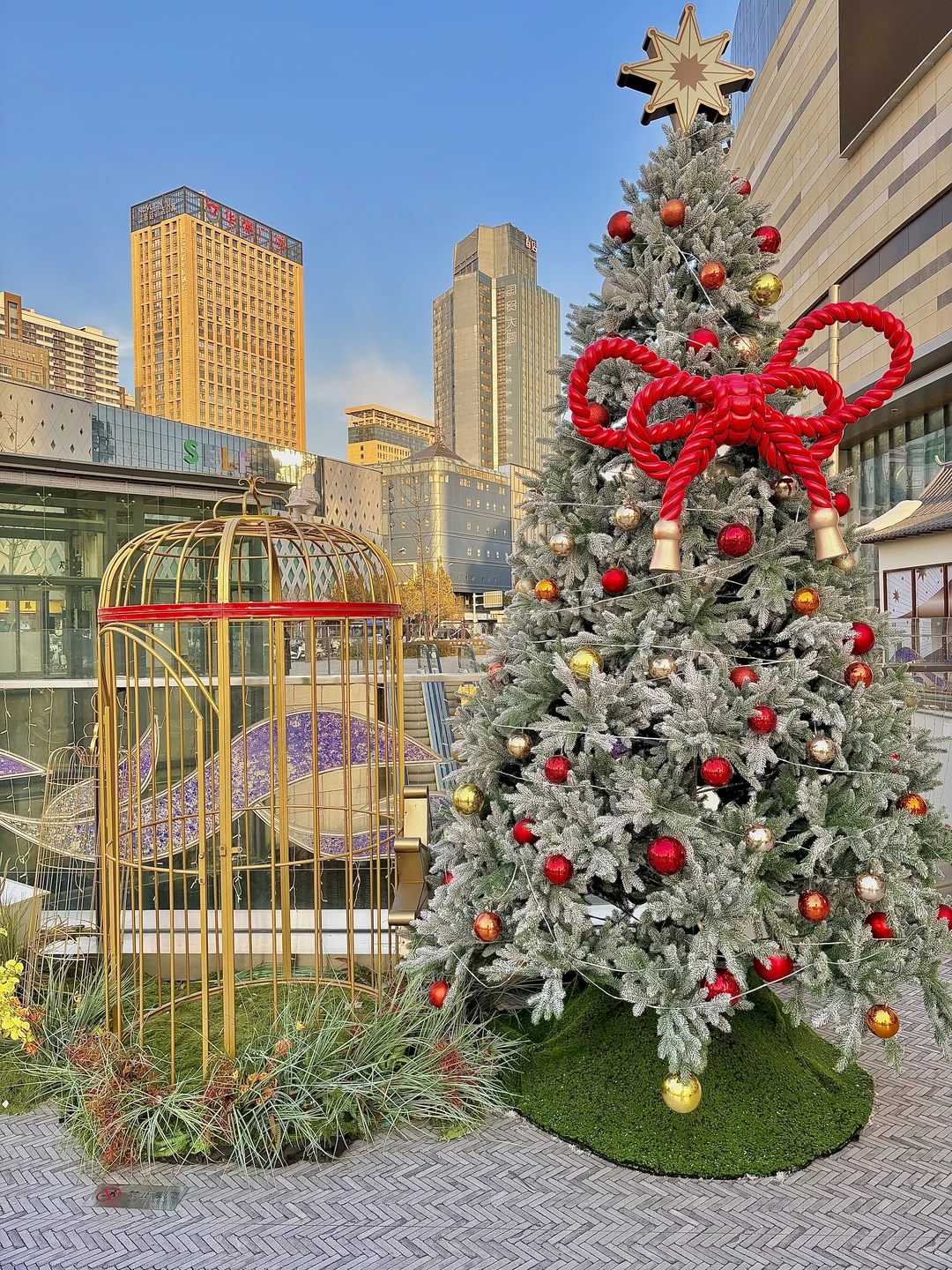 石家庄你洋气的我不敢认！