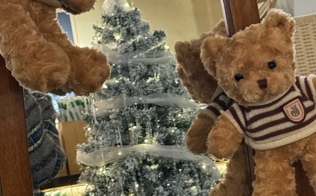 在邢台！也拍到了韩女氛围感圣诞照片啦🎄