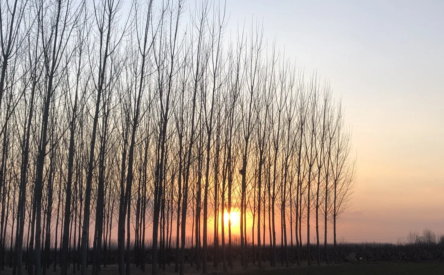 第一次跟男朋友回河北邢台威县，给我了6600