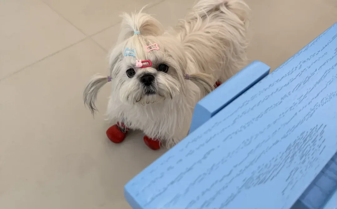 邢台新开的一家小韩咖啡店