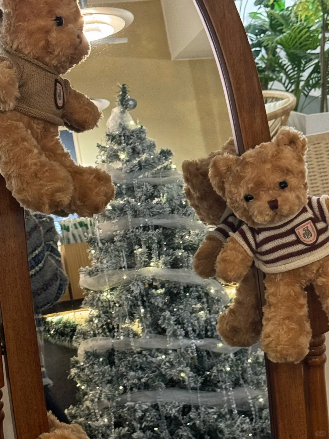 在邢台！也拍到了韩女氛围感圣诞照片啦🎄