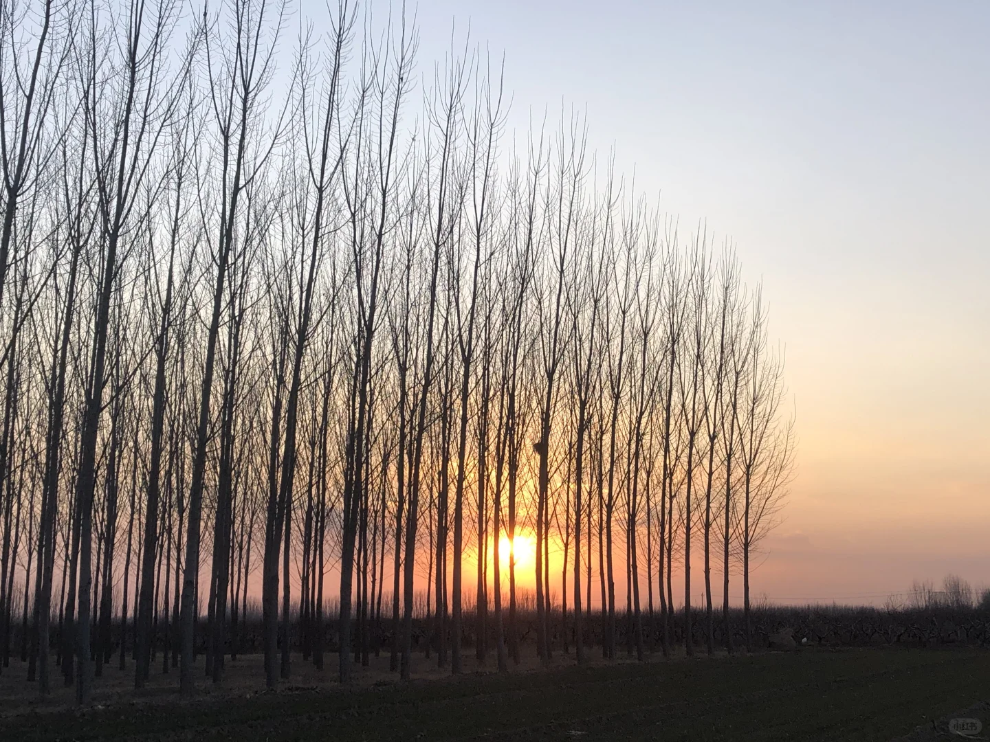 第一次跟男朋友回河北邢台威县，给我了6600