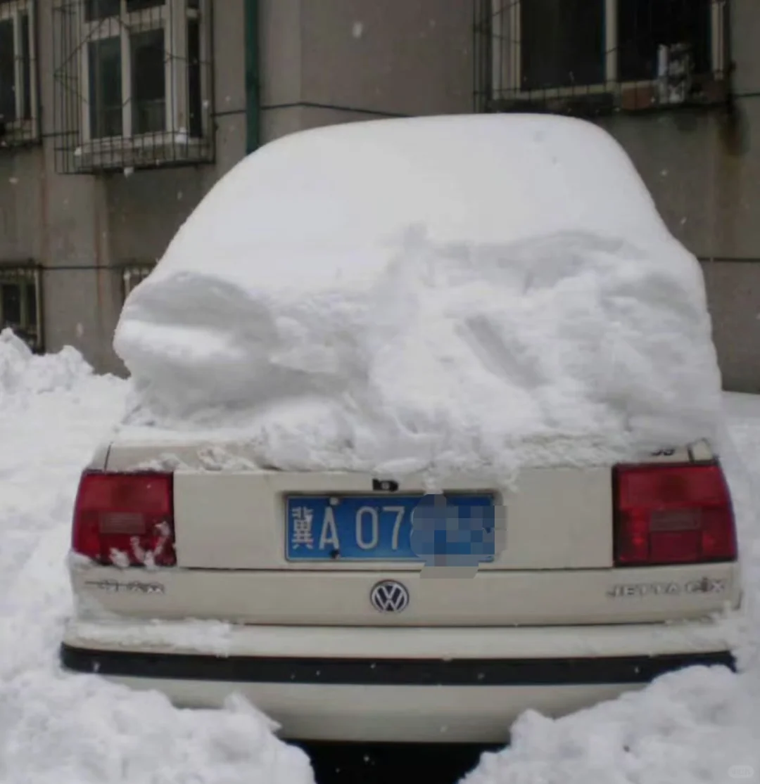 他朝若是同淋雪