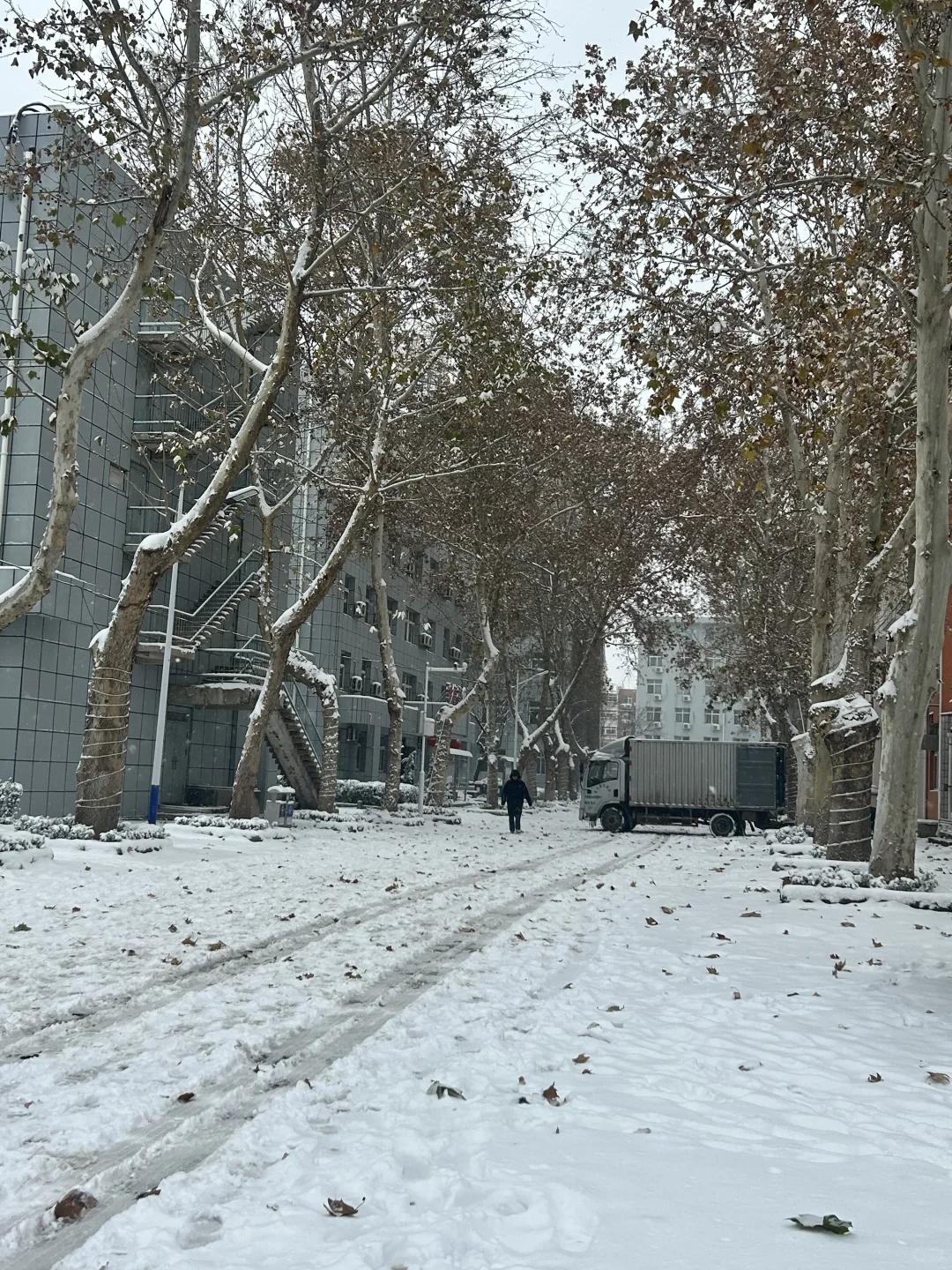 邯郸你居然真的下这么大的雪！！