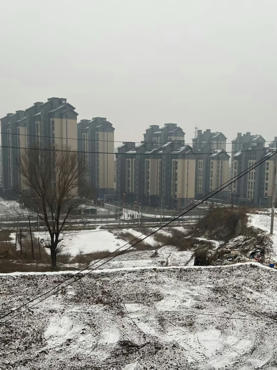 石家庄暴雪！已经下了！我将拥护带老师！