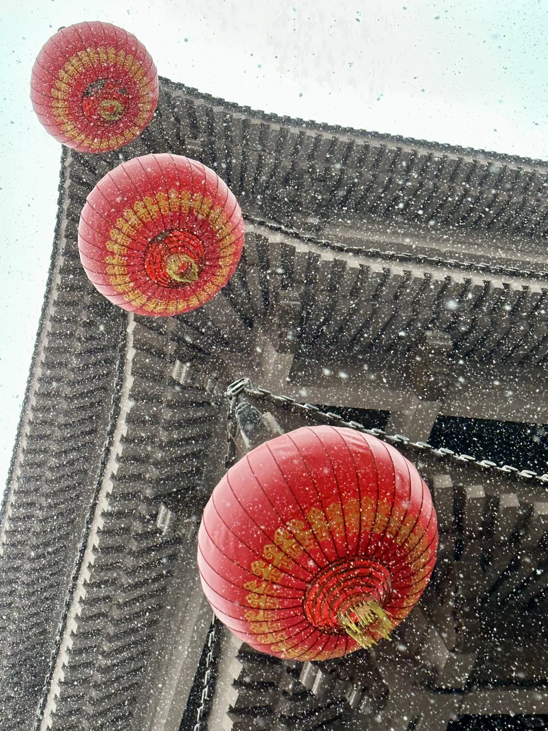 12月2日实况！！邯郸的大雪好美！！！