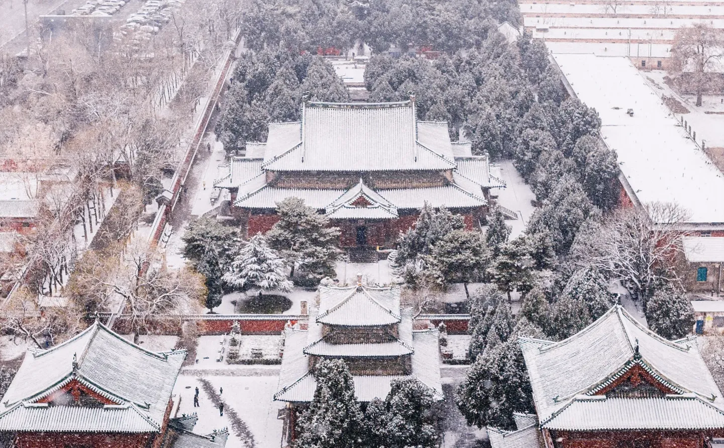 石家庄初雪，赴隆兴寺之约❄️