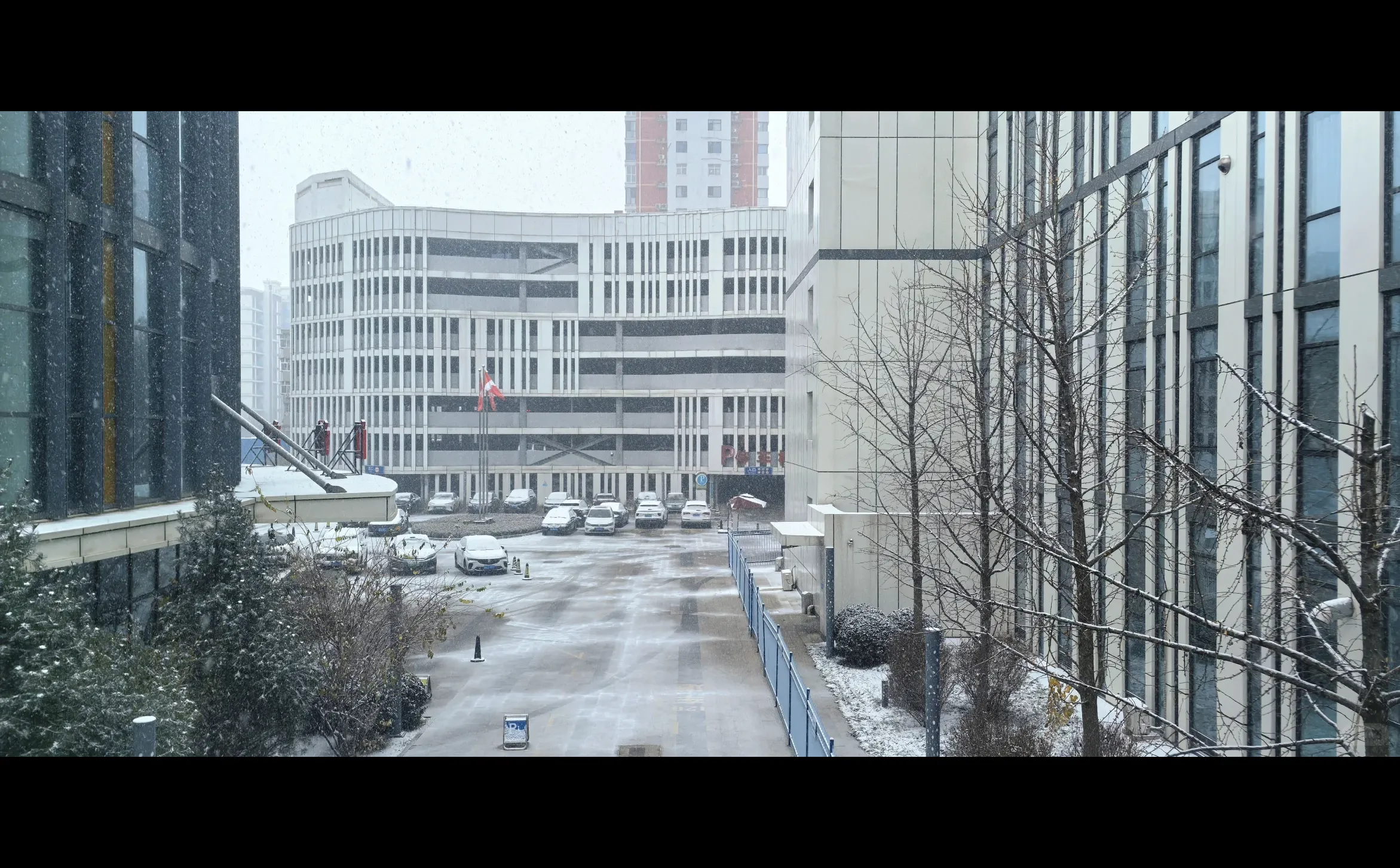 石家庄下雪啦，冬天的第一场雪🌨️