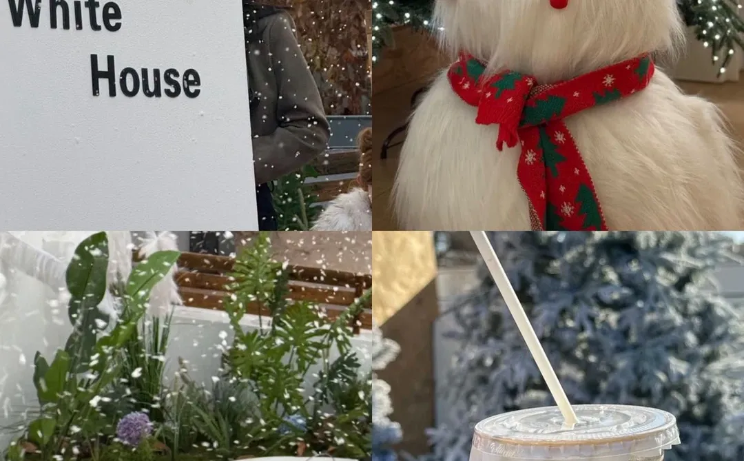 开始期待今年石家庄的圣诞了…（合集附📍）