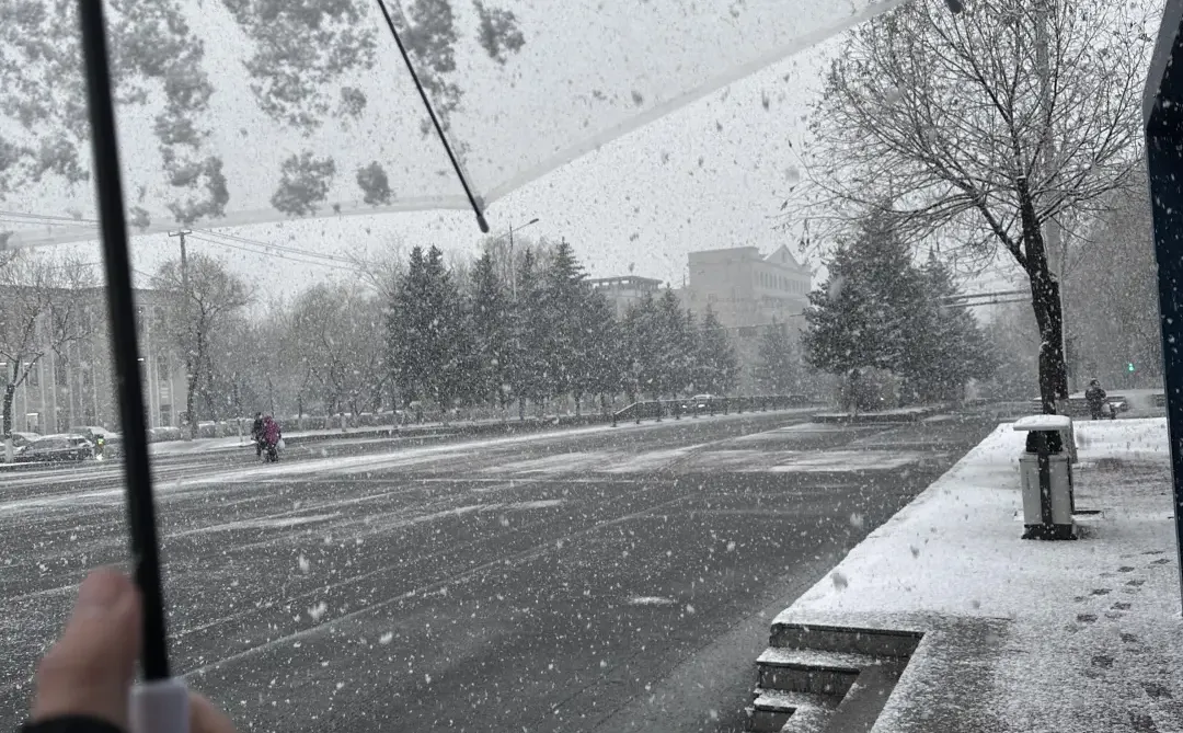 石家庄明天会不会下雪？感觉够呛呢