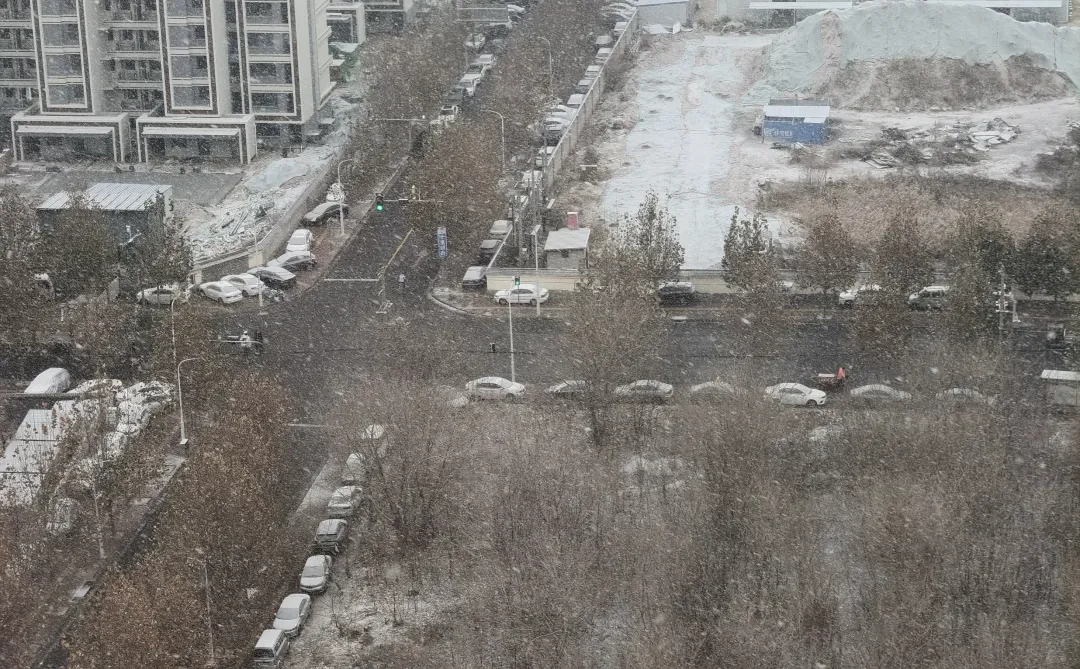 石家庄那些扬言今天下雪就去舔槐安路的人呢