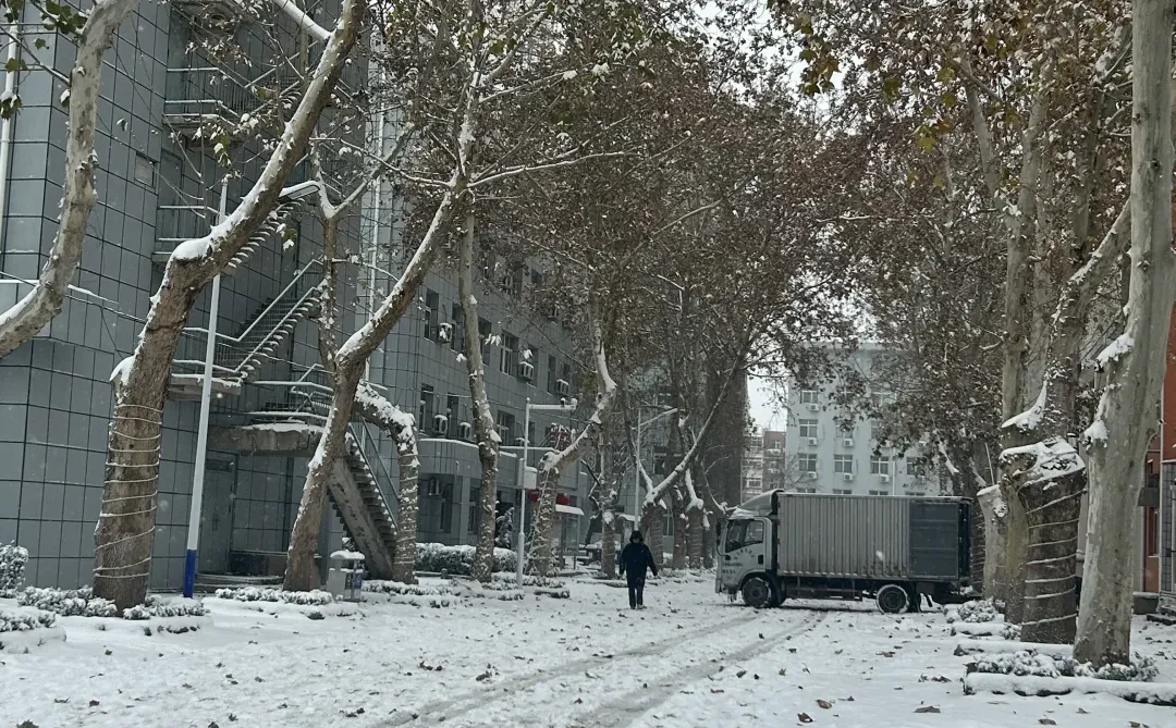 邯郸你居然真的下这么大的雪！！