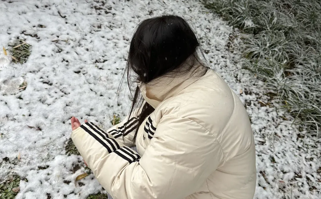 12月2日实况！！邯郸的大雪好美！！！