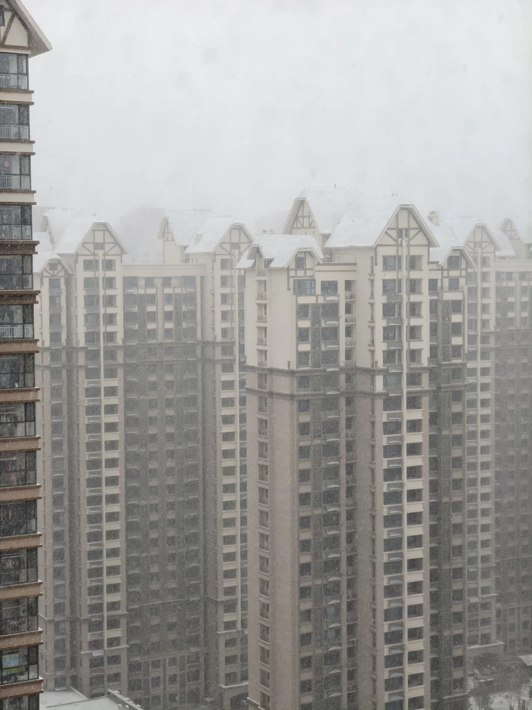 石家庄那些扬言今天下雪就去舔槐安路的人呢